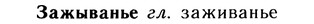 10-213_1140_%D0%97%D0%B0%D0%B6%D1%8B%D0%B2%D0%B0%D0%BD%D1%8C%D0%B5.jpg