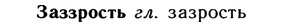 10-215_1164_%D0%97%D0%B0%D0%B7%D0%B7%D1%80%D0%BE%D1%81%D1%82%D1%8C.jpg