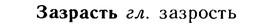 10-216_1171_%D0%97%D0%B0%D0%B7%D1%80%D0%B0%D1%81%D1%82%D1%8C.jpg
