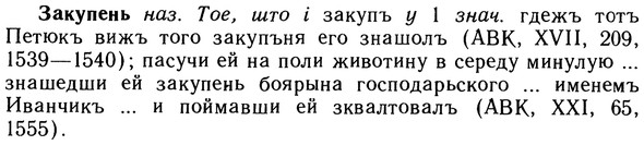 10-266_1452_%D0%97%D0%B0%D0%BA%D1%83%D0%BF%D0%B5%D0%BD%D1%8C.jpg