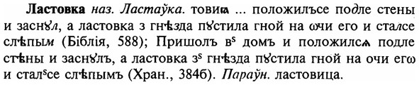 16-300_1503_%D0%9B%D0%B0%D1%81%D1%82%D0%BE%D0%B2%D0%BA%D0%B0.jpg