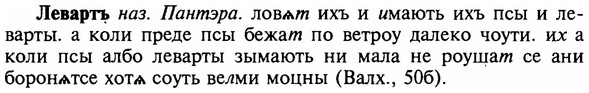 16-313_1589_%D0%9B%D0%B5%D0%B2%D0%B0%D1%80%D1%82%D1%8A.jpg