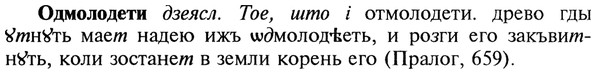 22-039_0243_%D0%9E%D0%B4%D0%BC%D0%BE%D0%BB%D0%BE%D0%B4%D0%B5%D1%82%D0%B8.jpg