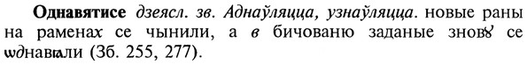 22-039_0253_%D0%9E%D0%B4%D0%BD%D0%B0%D0%B2%D1%8F%D1%82%D0%B8%D1%81%D0%B5.jpg