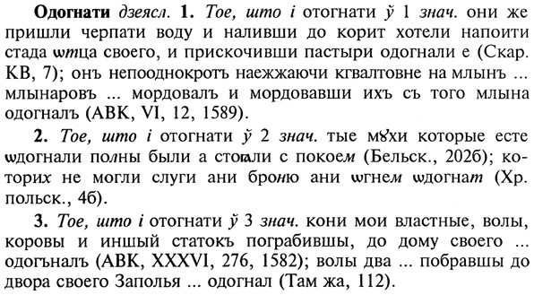 22-054_0342_%D0%9E%D0%B4%D0%BE%D0%B3%D0%BD%D0%B0%D1%82%D0%B8.jpg