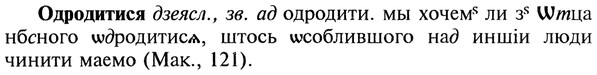 22-072_0480_%D0%9E%D0%B4%D1%80%D0%BE%D0%B4%D0%B8%D1%82%D0%B8%D1%81%D1%8F.jpg