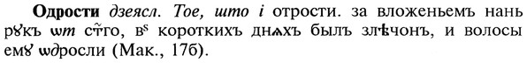 22-073_0485_%D0%9E%D0%B4%D1%80%D0%BE%D1%81%D1%82%D0%B8.jpg