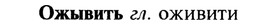22-102_0679_%D0%9E%D0%B6%D1%8B%D0%B2%D0%B8%D1%82%D1%8C.jpg