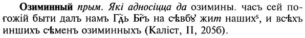 22-109_0733_%D0%9E%D0%B7%D0%B8%D0%BC%D0%B8%D0%BD%D0%BD%D1%8B%D0%B9.jpg