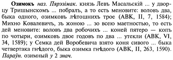 22-110_0737_%D0%9E%D0%B7%D0%B8%D0%BC%D0%BE%D0%BA%D1%8A.jpg
