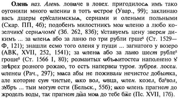 22-191_1169_%D0%9E%D0%BB%D0%B5%D0%BD%D1%8C.jpg