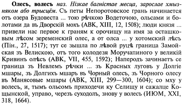 22-192_1172_%D0%9E%D0%BB%D0%B5%D1%81%D1%8A.jpg