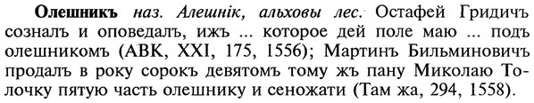 22-192_1173_%D0%9E%D0%BB%D0%B5%D1%88%D0%BD%D0%B8%D0%BA%D1%8A.jpg