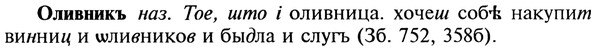 22-193_1178_%D0%9E%D0%BB%D0%B8%D0%B2%D0%BD%D0%B8%D0%BA%D1%8A.jpg