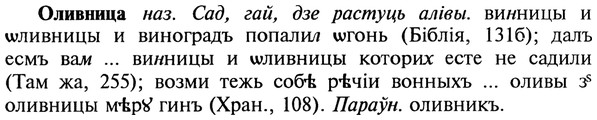 22-193_1179_%D0%9E%D0%BB%D0%B8%D0%B2%D0%BD%D0%B8%D1%86%D0%B0.jpg