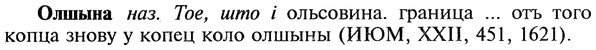22-197_1213_%D0%9E%D0%BB%D1%88%D1%8B%D0%BD%D0%B0.jpg