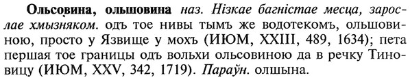 22-197_1215_%D0%9E%D0%BB%D1%8C%D1%81%D0%BE%D0%B2%D0%B8%D0%BD%D0%B0.jpg