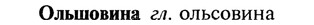 22-199_1220_%D0%9E%D0%BB%D1%8C%D1%88%D0%BE%D0%B2%D0%B8%D0%BD%D0%B0.jpg