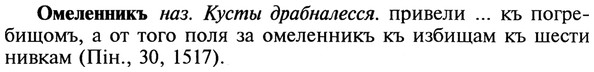 22-201_1246_%D0%9E%D0%BC%D0%B5%D0%BB%D0%B5%D0%BD%D0%BD%D0%B8%D0%BA%D1%8A.jpg