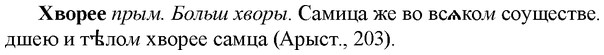 36-062_0334_%D0%A5%D0%B2%D0%BE%D1%80%D0%B5%D0%B5.jpg