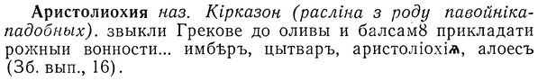 img/01/01-140_0568_Аристолиохия.jpg