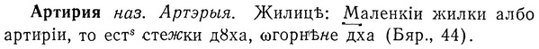 img/01/01-145_0603_Артирия.jpg