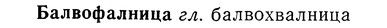img/01/01-182_0879_Балвофалница.jpg