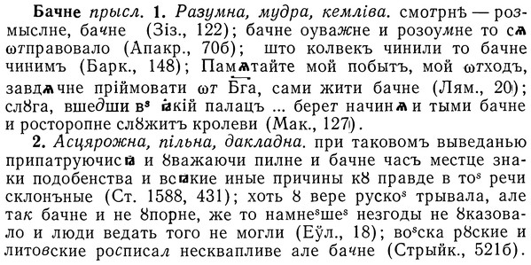 img/01/01-206_1028_Бачне.jpg