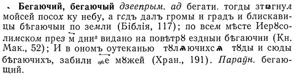 img/01/01-211_1051_Бегаючий.jpg