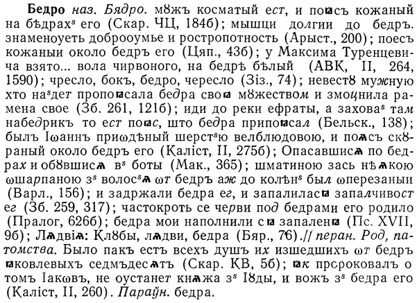 img/01/01-221_1086_Бедро.jpg