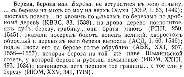 img/01/01-278_1448_Береза.jpg