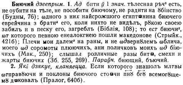 img/02/02-020_0060_Биючий.jpg