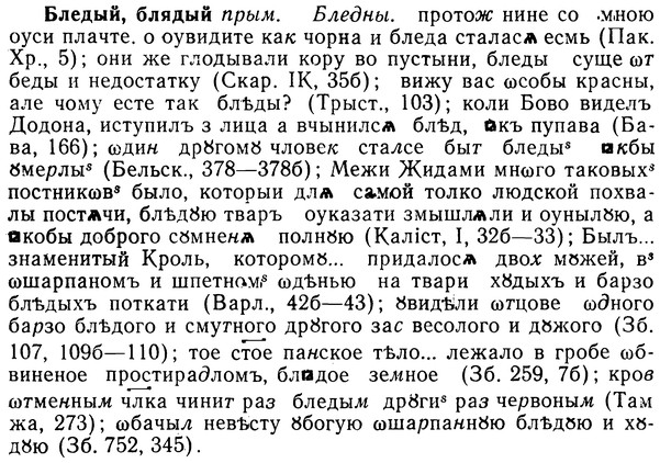 img/02/02-052_0235_Бледый.jpg