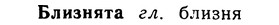 img/02/02-061_0286_Близнята.jpg