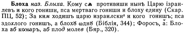 img/02/02-067_0338_Блоха.jpg