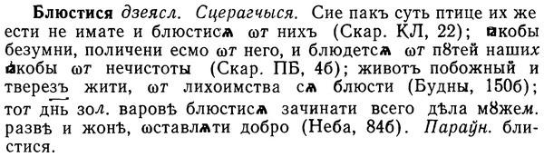 img/02/02-078_0398_Блюстися.jpg