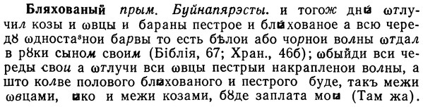 img/02/02-081_0418_Бляхованый.jpg
