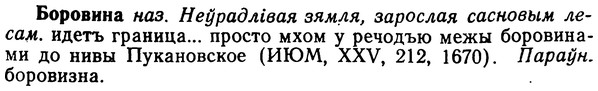 img/02/02-152_0785_Боровина.jpg