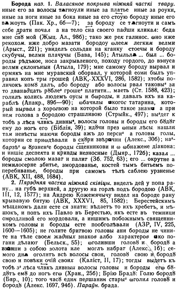 img/02/02-152_0789_Борода.jpg