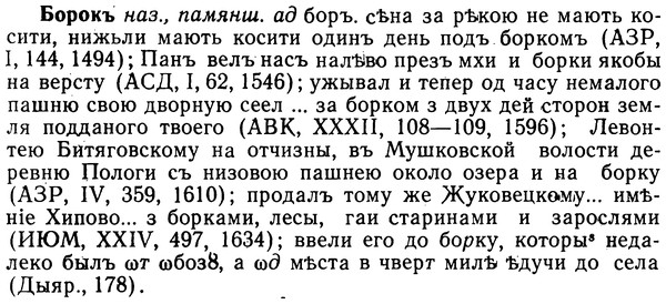 img/02/02-154_0796_Борокъ.jpg