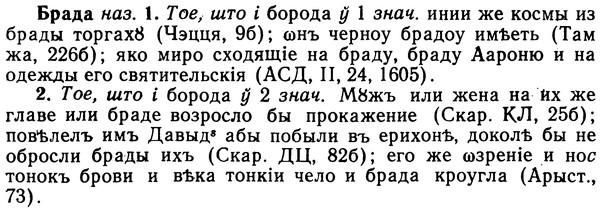 img/02/02-185_0913_Брада.jpg