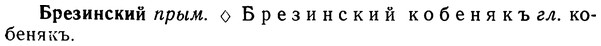 img/02/02-213_1018_Брезинский.jpg