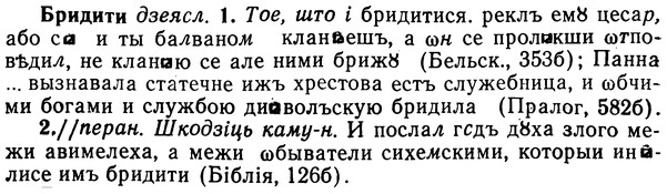 img/02/02-214_1033_Бридити.jpg