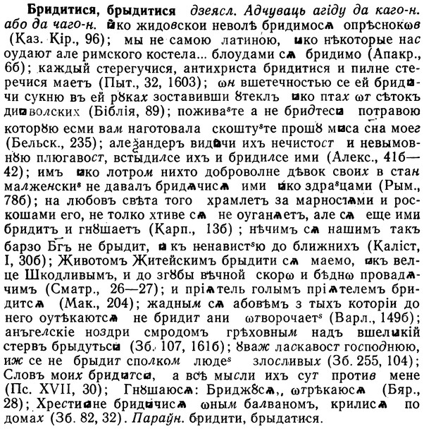 img/02/02-215_1034_Бридитися.jpg