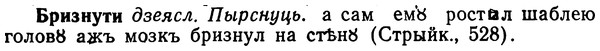 img/02/02-217_1042_Бризнути.jpg