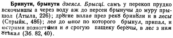 img/02/02-217_1048_Бринути.jpg