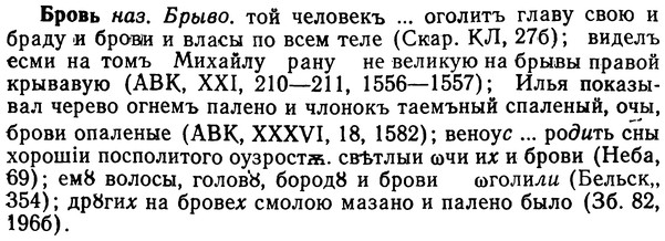 img/02/02-218_1062_Бровь.jpg