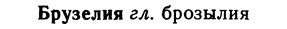 img/02/02-223_1092_Брузелия.jpg
