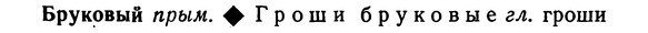 img/02/02-224_1097_Бруковый.jpg