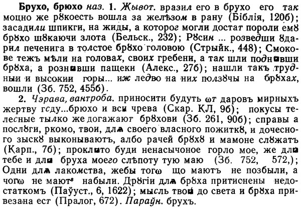 img/02/02-225_1107_Брухо.jpg